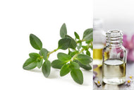 Thyme (Essential Oil)